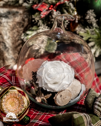 Une rose éternelle blanche sous cloche avec décor en bois sur fond de Noël.
